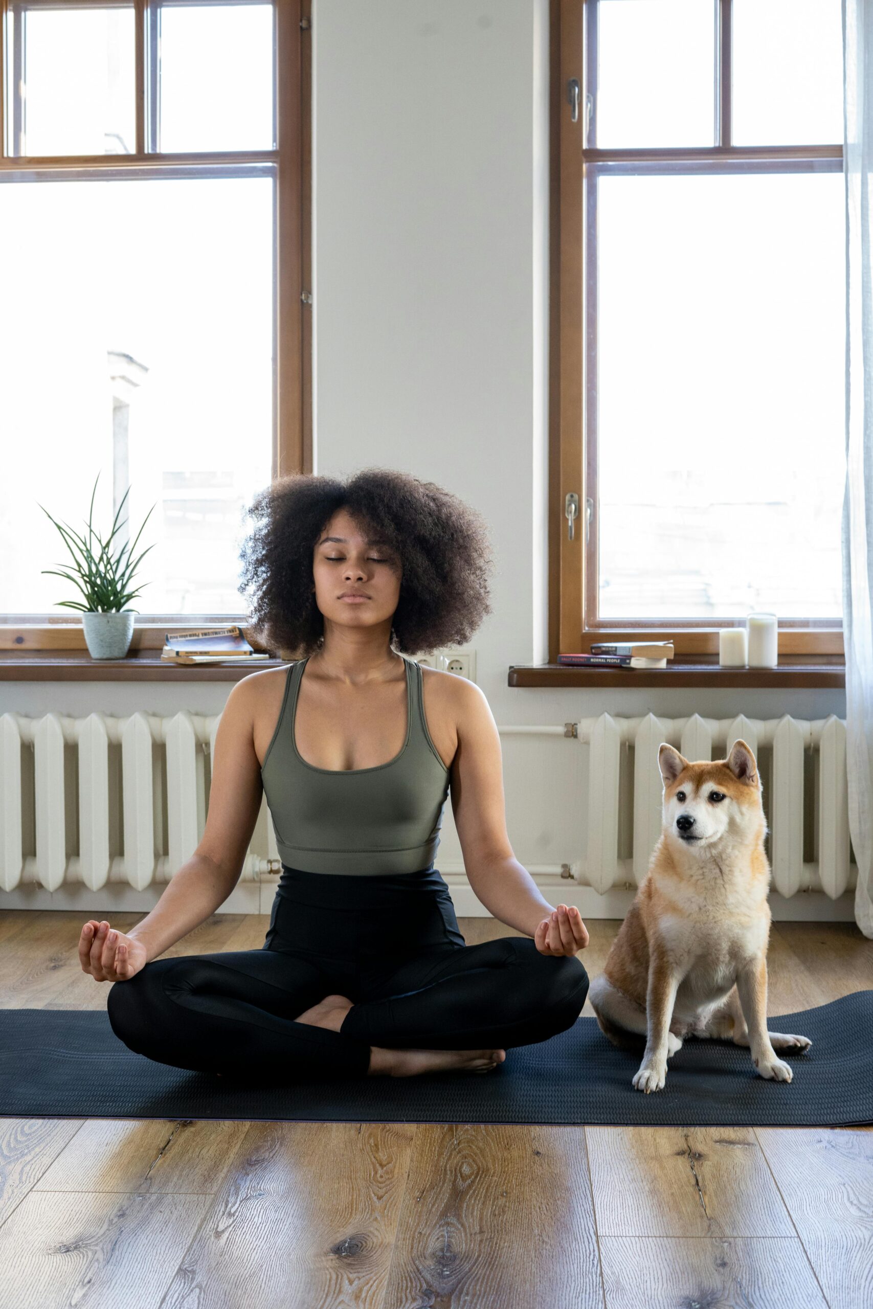 meditation can exercise the vagus nerve to reduce anxiety